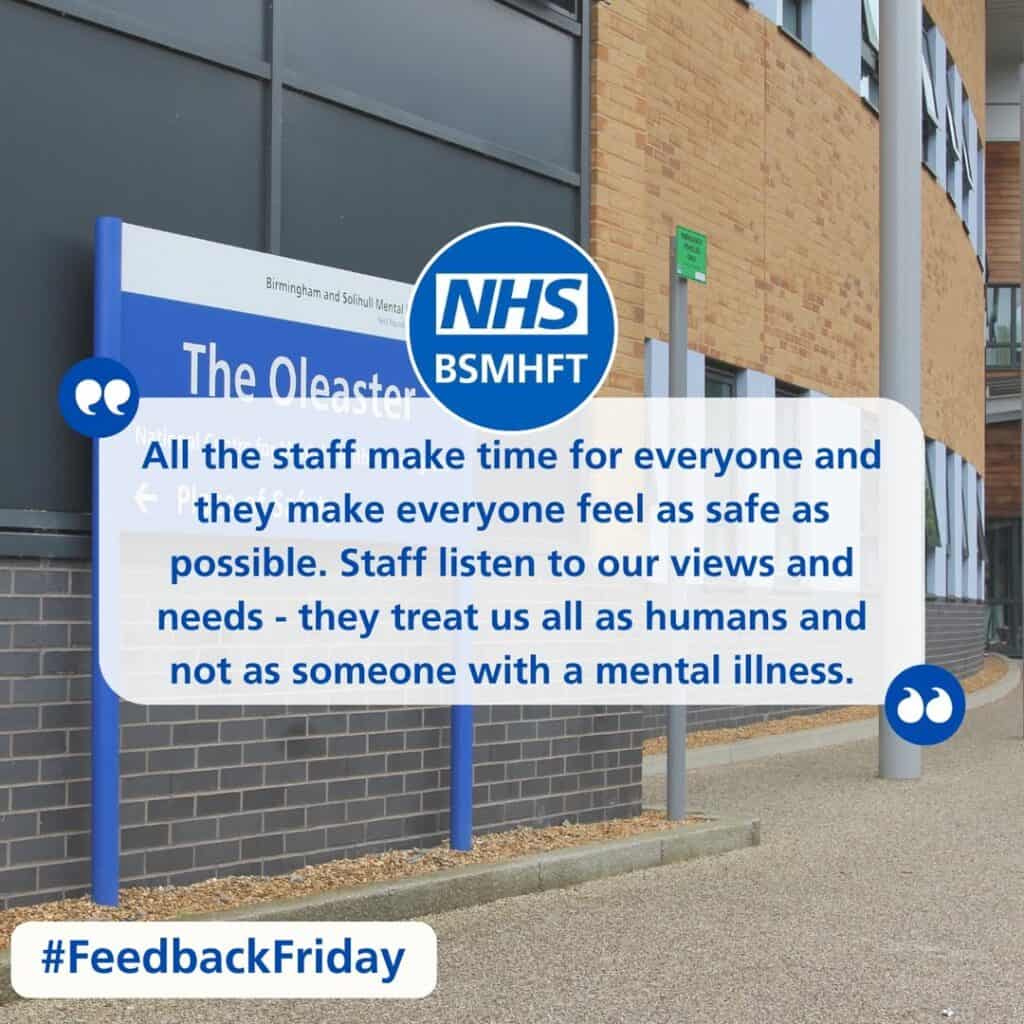 Feedback Friday - Melissa Suite, Oleaster